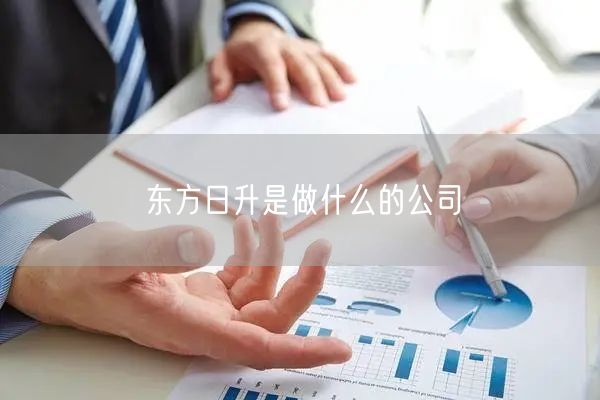 东方日升是做什么的公司