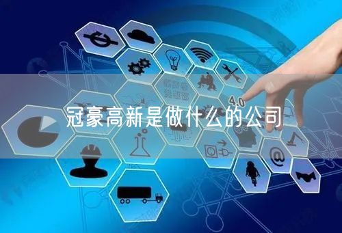 冠豪高新是做什么的公司