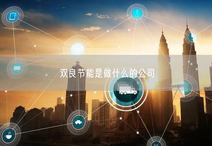 双良节能是做什么的公司