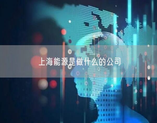 上海能源是做什么的公司