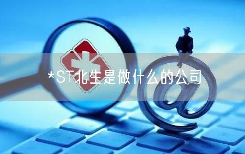 *ST北生是做什么的公司