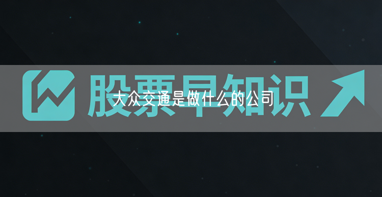 大众交通是做什么的公司