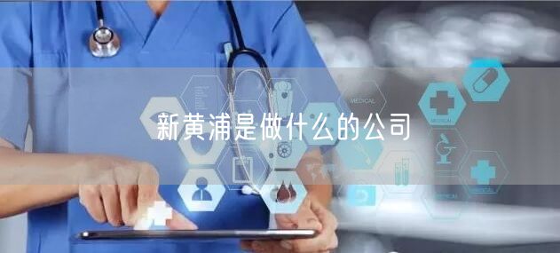新黄浦是做什么的公司