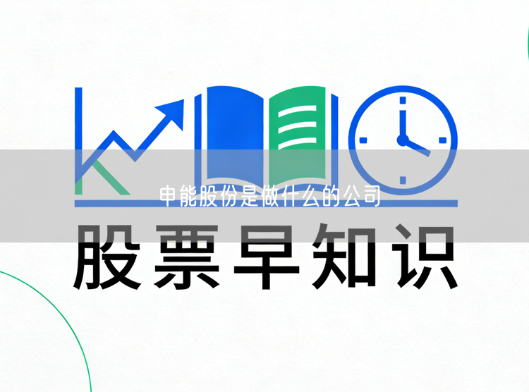 申能股份是做什么的公司