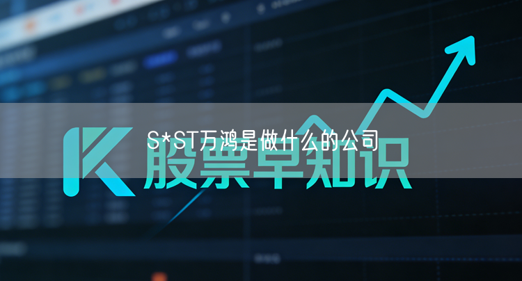 S*ST万鸿是做什么的公司