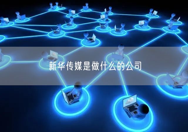 新华传媒是做什么的公司