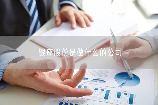银座股份是做什么的公司