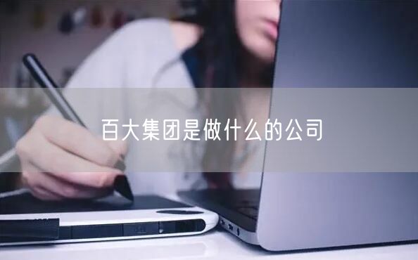 百大集团是做什么的公司