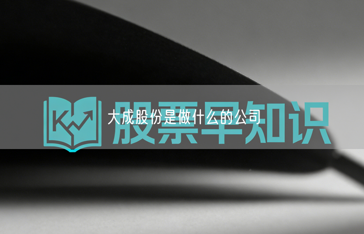 大成股份是做什么的公司
