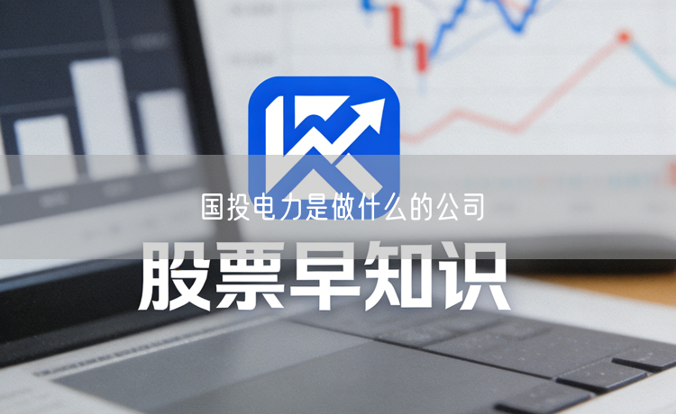 国投电力是做什么的公司