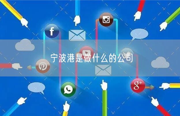 宁波港是做什么的公司