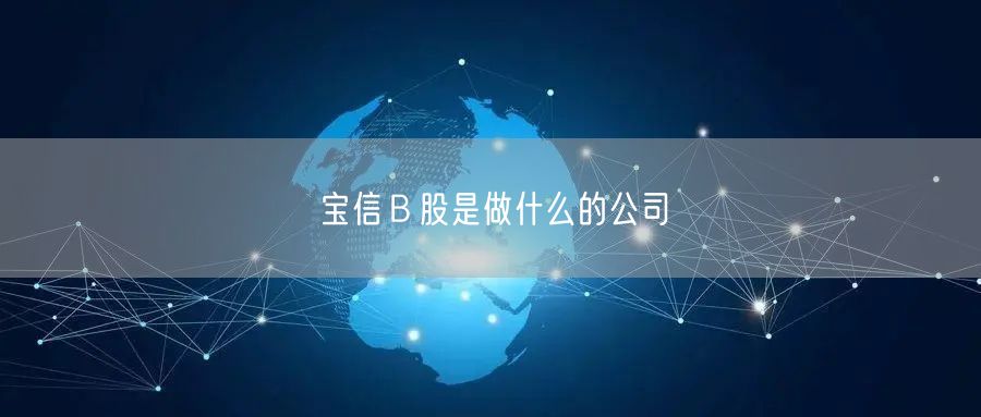 宝信Ｂ股是做什么的公司