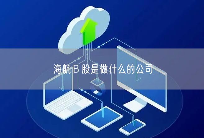 海航Ｂ股是做什么的公司