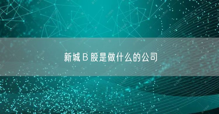 新城Ｂ股是做什么的公司
