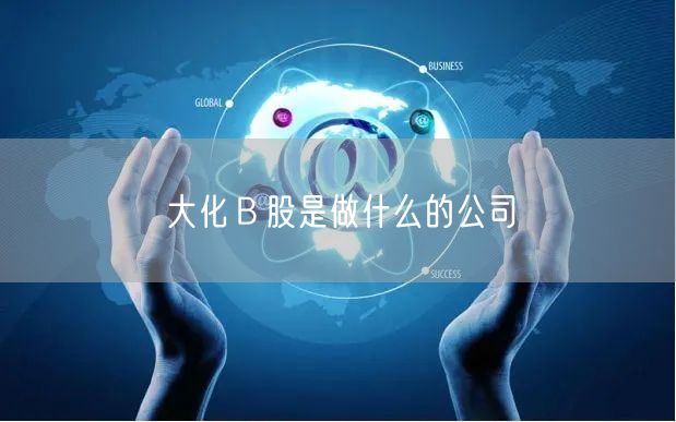 大化Ｂ股是做什么的公司