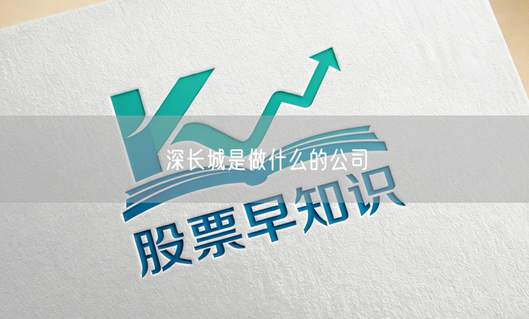 深长城是做什么的公司
