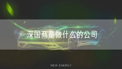 深国商是做什么的公司