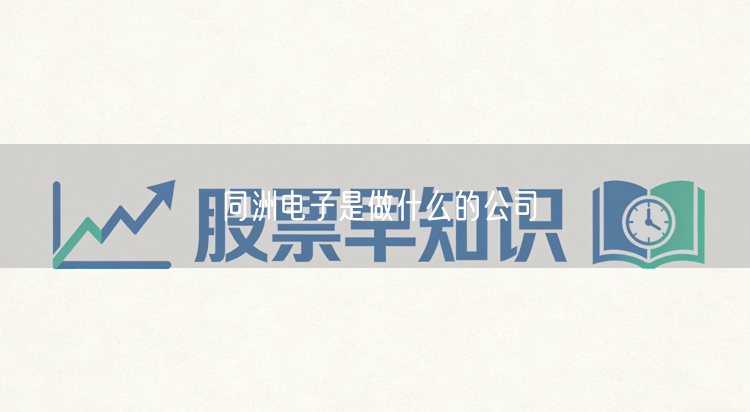 同洲电子是做什么的公司