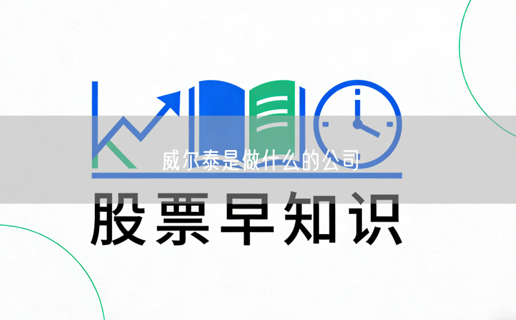 威尔泰是做什么的公司