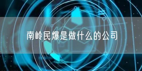 南岭民爆是做什么的公司
