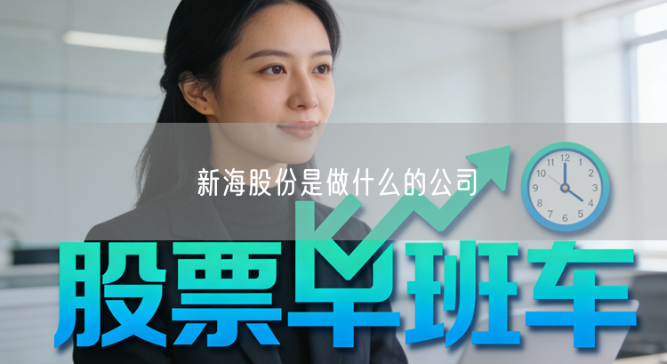 新海股份是做什么的公司