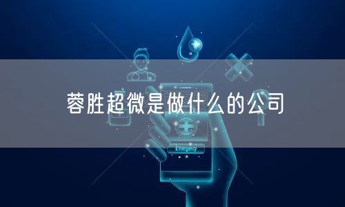 蓉胜超微是做什么的公司