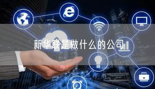 新华联是做什么的公司