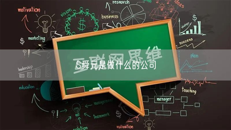 S舜元是做什么的公司
