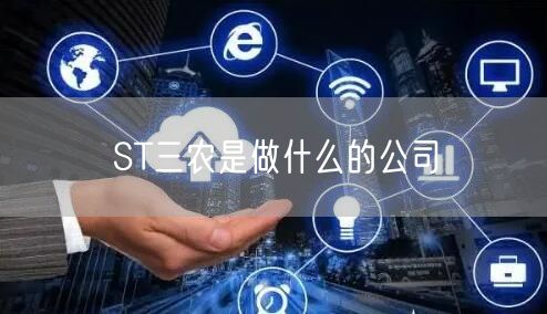 ST三农是做什么的公司