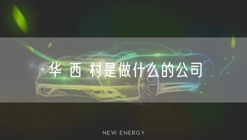 华 西 村是做什么的公司