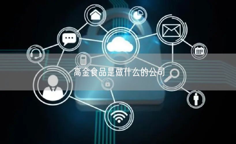 高金食品是做什么的公司