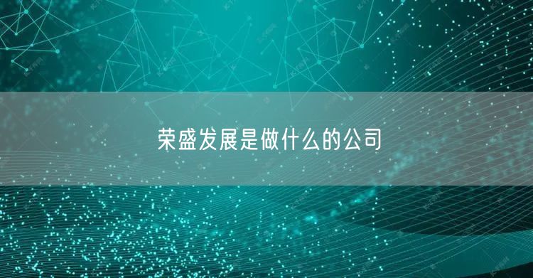 荣盛发展是做什么的公司