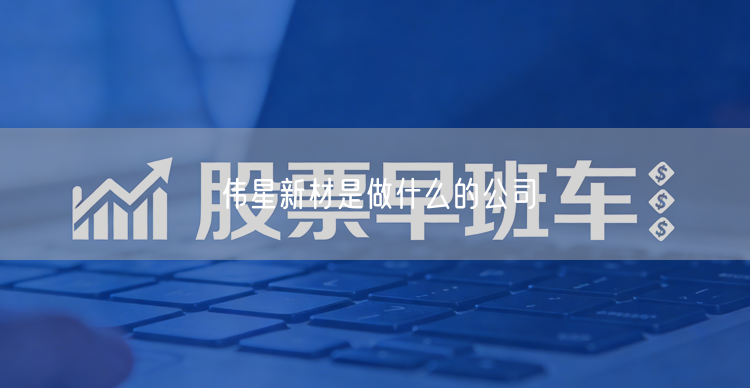 伟星新材是做什么的公司