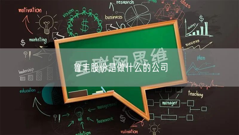 鲁丰股份是做什么的公司