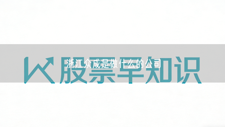 浙江众成是做什么的公司