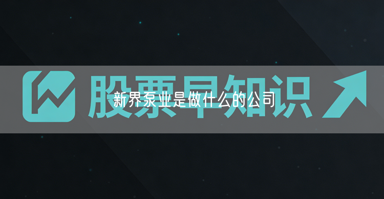 新界泵业是做什么的公司