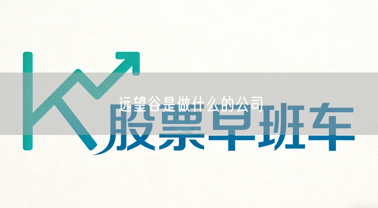 远望谷是做什么的公司