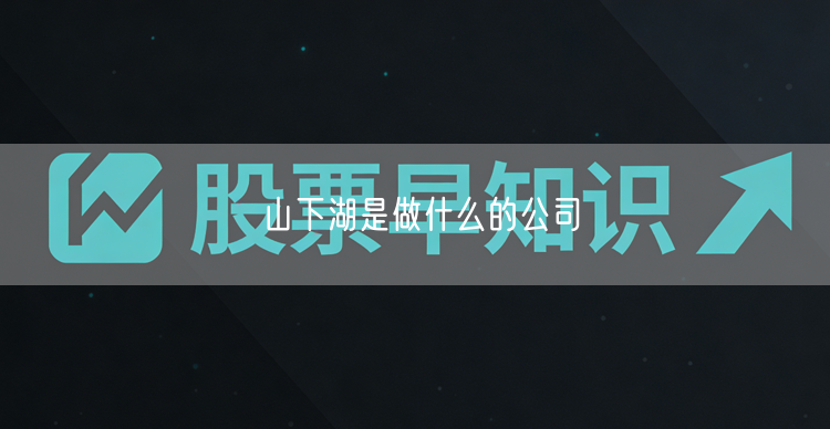 山下湖是做什么的公司
