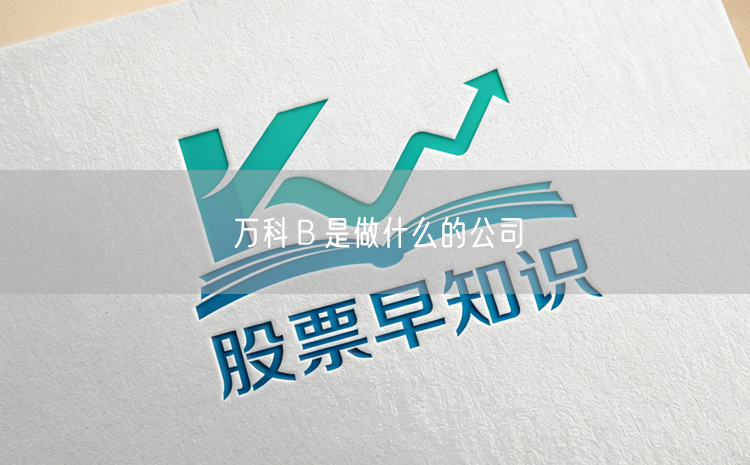 万科Ｂ是做什么的公司