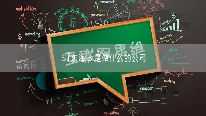ST东海Ｂ是做什么的公司