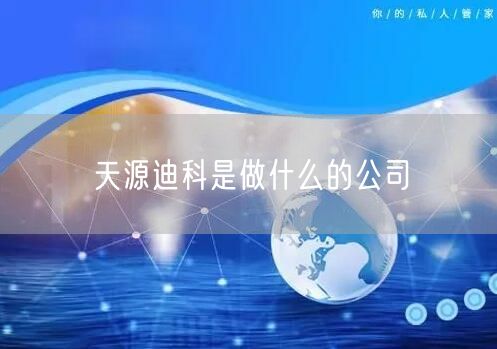天源迪科是做什么的公司
