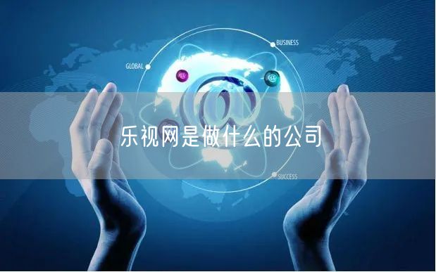 乐视网是做什么的公司