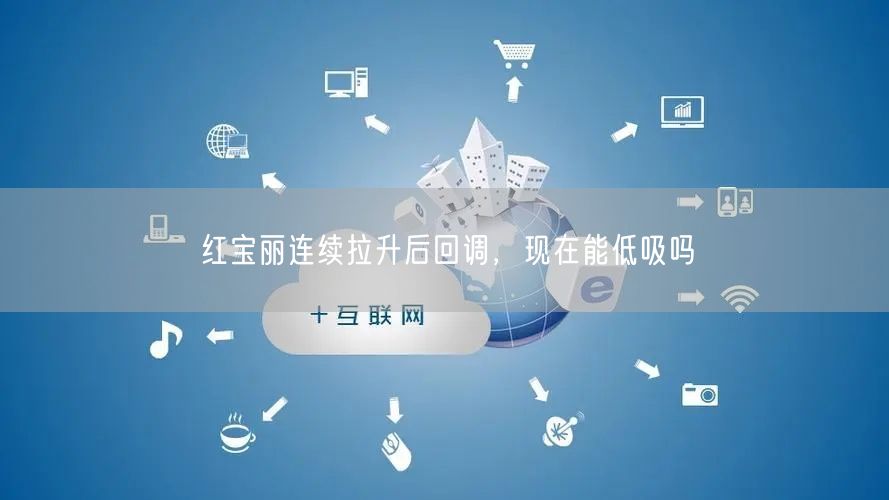 红宝丽连续拉升后回调，现在能低吸吗