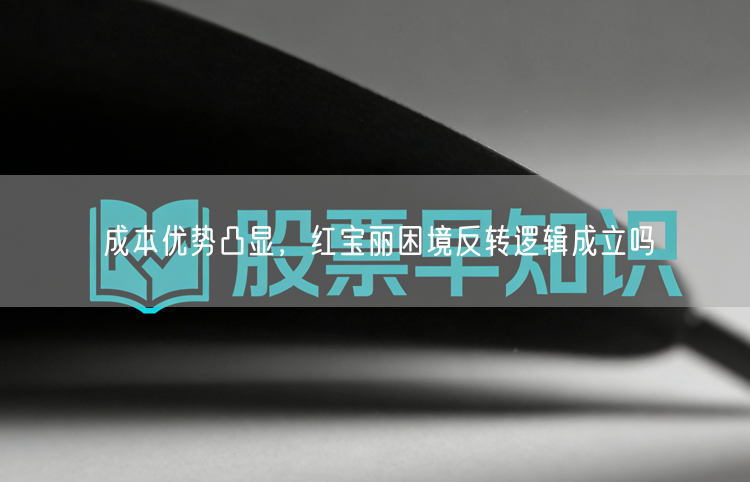成本优势凸显，红宝丽困境反转逻辑成立吗