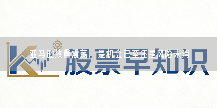 亚马逊放量震荡,是机会已至还是风险未消