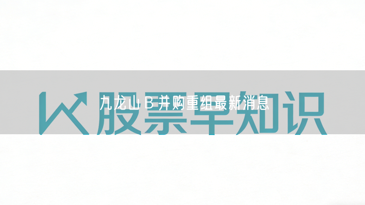 九龙山B并购重组最新消息