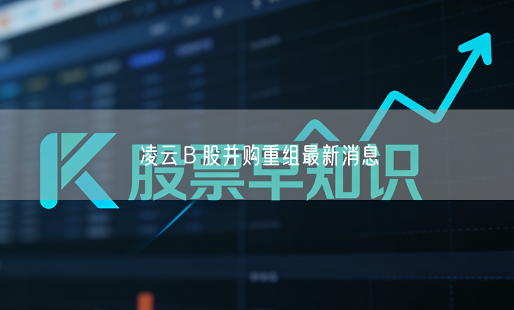 凌云B股并购重组最新消息